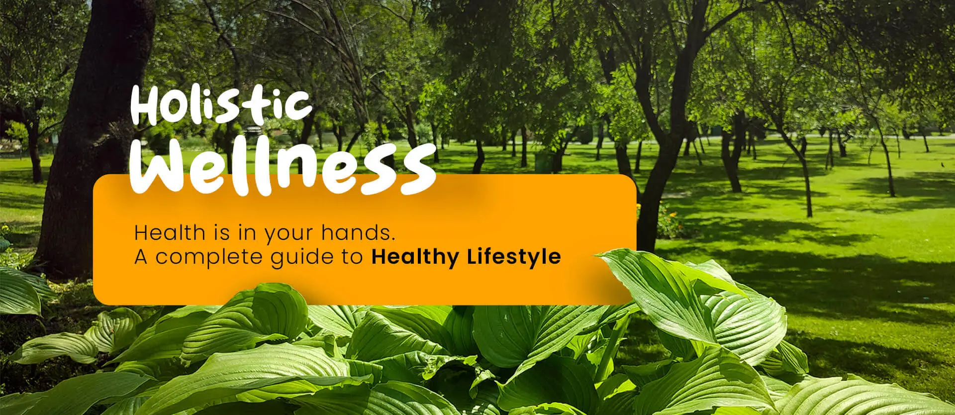 Health in your hands ; Enjoy Overall wellbeing by  adapting a healthy Lifestyle