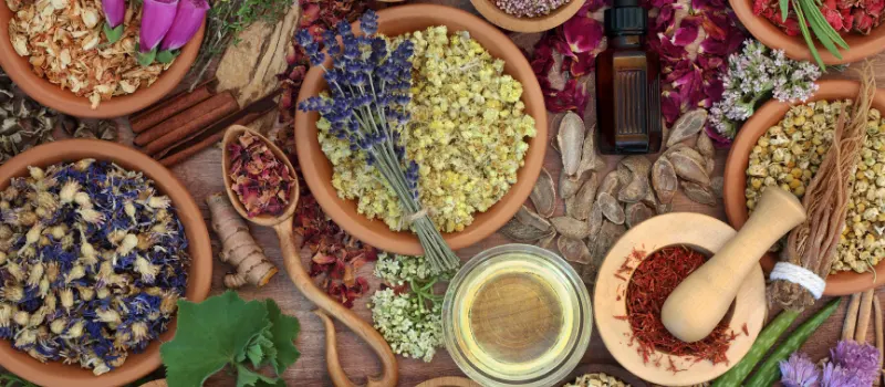 Naturopathic Nutrition Eating for Wellness