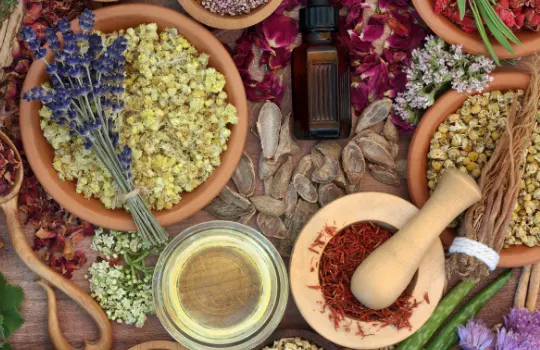 Naturopathic Nutrition Eating for Wellness