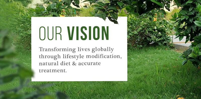 Our Vision