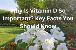 Why Is Vitamin D So Important? Key Facts You Should Know